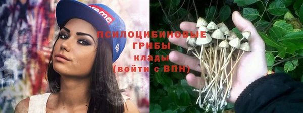амф Вязники